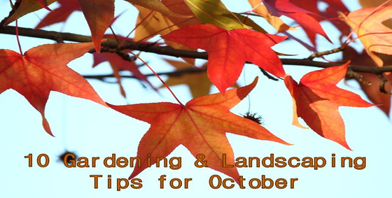 10gardeningandlandscapingtipsforoctober