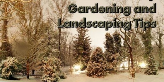 feb gardening landscaping tips