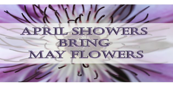 april_showers_bring_may_flowers