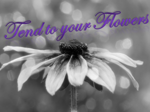 Tend_To_Your_Flowers(1)