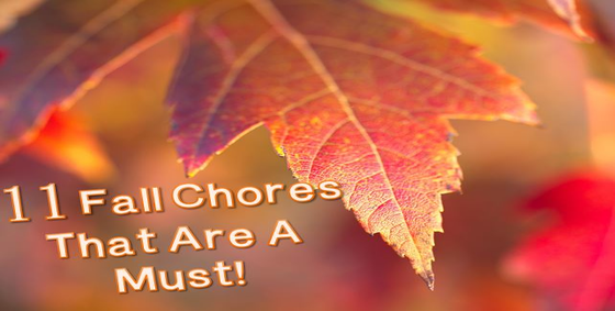 11_Fall_Chores_That_Are_A_Must_