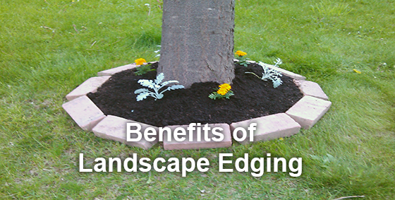 benefits landscape edging