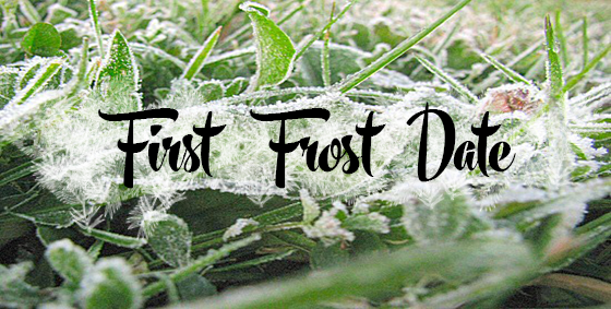 first frost