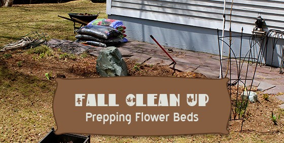 prepping flower beds fall