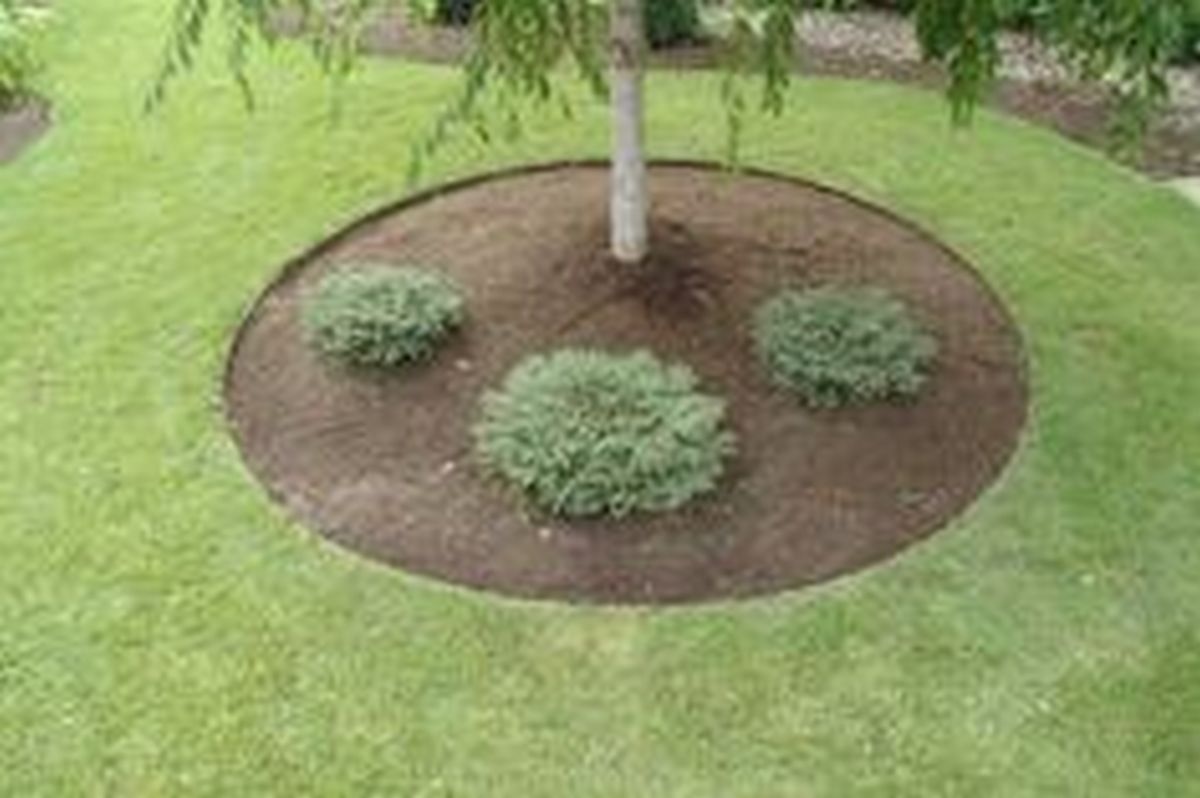 Lawn Edging For Tree Rings Landscape, Landscaping Borders Around Trees