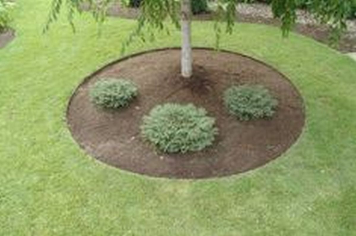 Lawn Edging for Tree Rings - Landscape Edging Blog