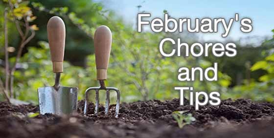 february chores and tips