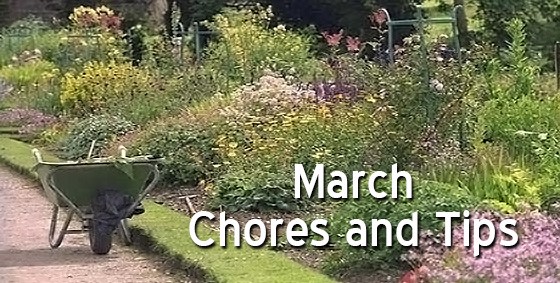 March Chore Tips