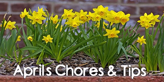 april chores and tips