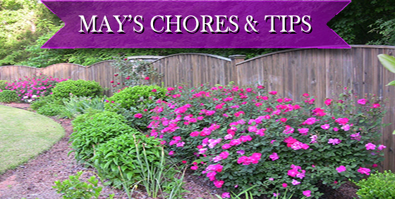 may chores tips