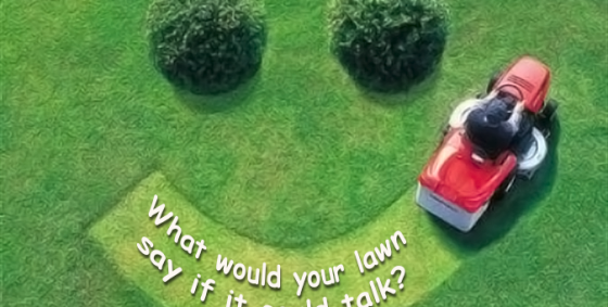 what would your lawn say