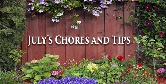 july chores tips