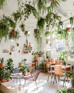 pinterest_trends_2017_hanging_plants